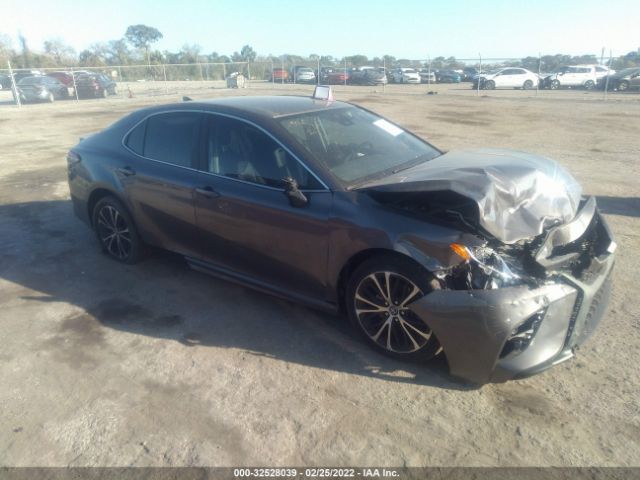 TOYOTA CAMRY 2019 4t1b11hkxku181701