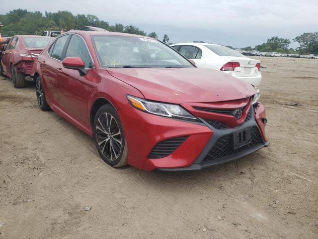 TOYOTA CAMRY L 2019 4t1b11hkxku181911