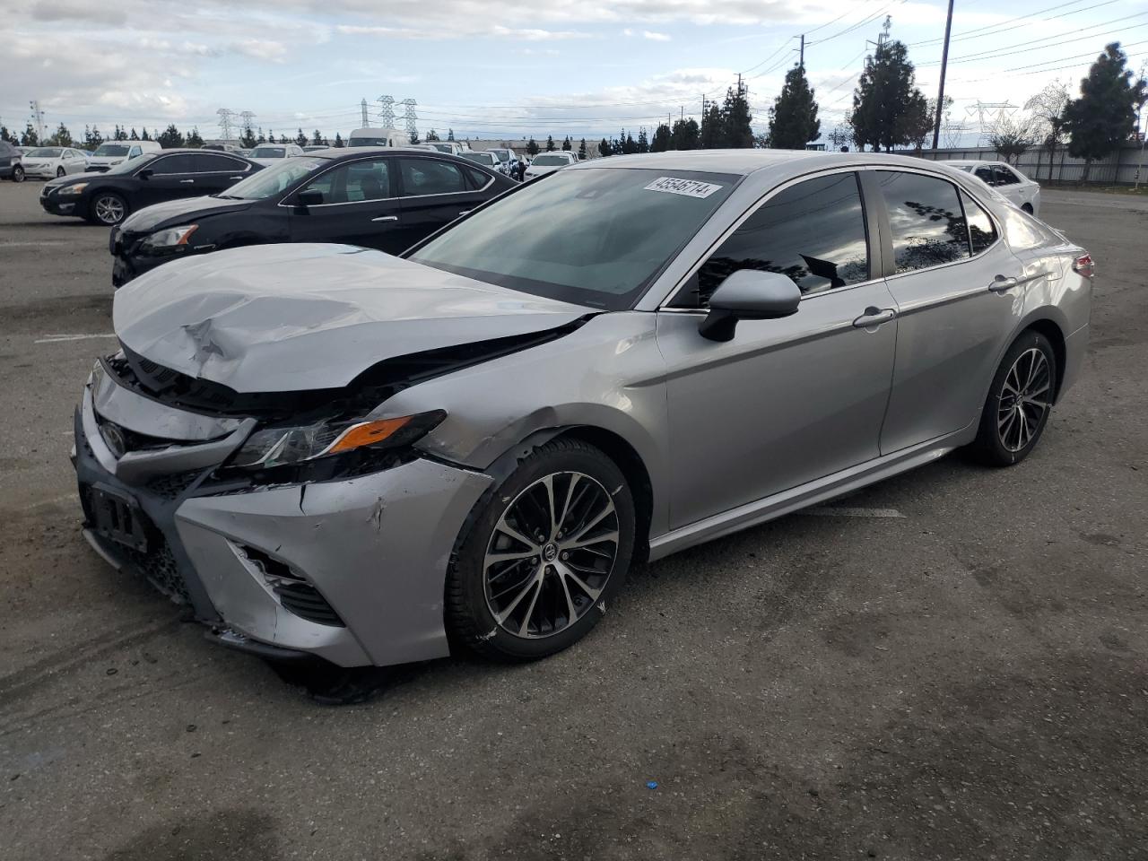 TOYOTA CAMRY 2019 4t1b11hkxku191127