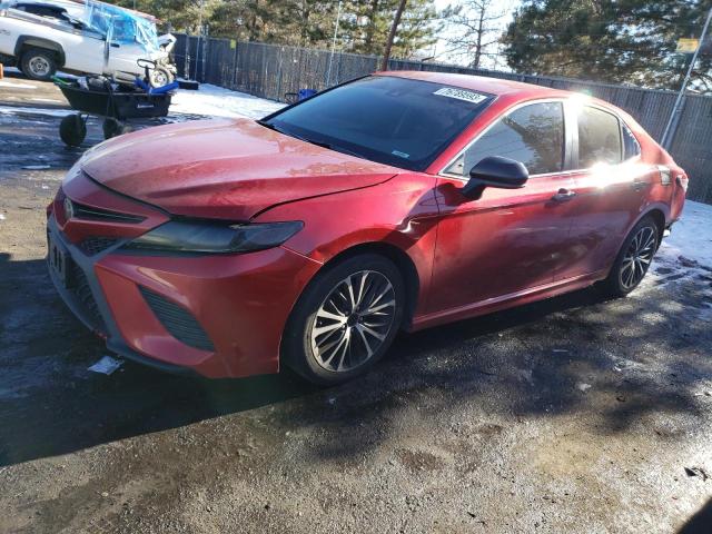 TOYOTA CAMRY 2019 4t1b11hkxku203454