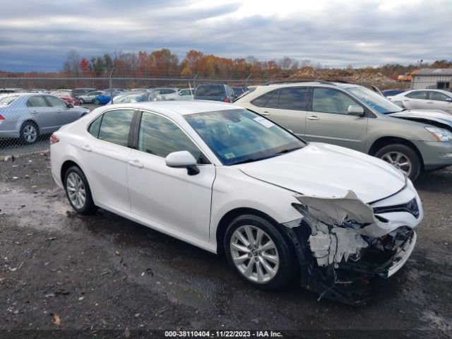 TOYOTA CAMRY 2019 4t1b11hkxku215734