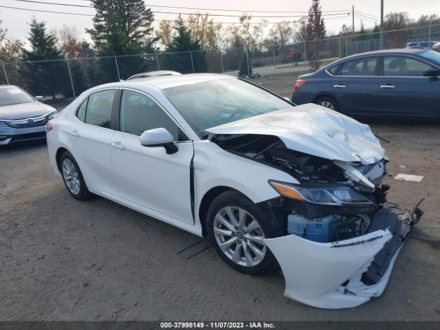 TOYOTA CAMRY 2019 4t1b11hkxku220304