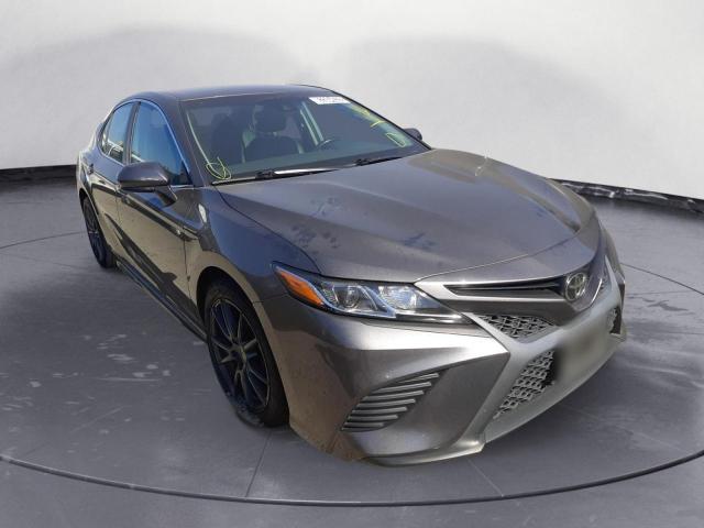 TOYOTA CAMRY L 2019 4t1b11hkxku224126