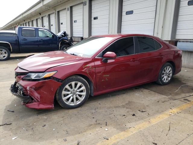 TOYOTA CAMRY L 2019 4t1b11hkxku235854