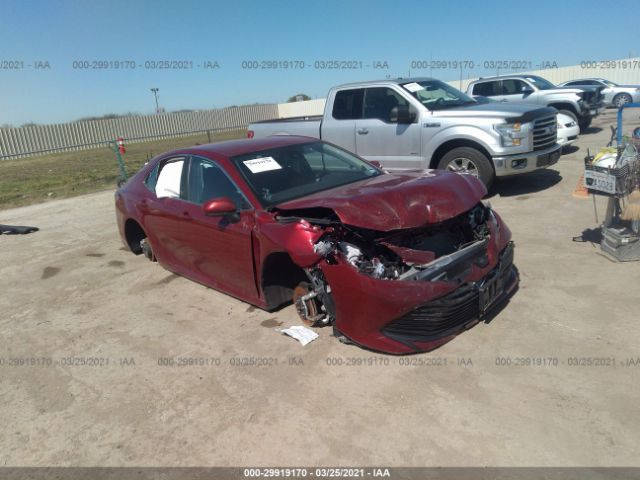 TOYOTA CAMRY 2019 4t1b11hkxku236177