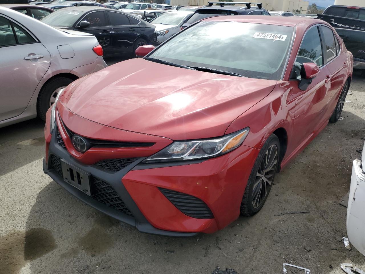 TOYOTA CAMRY 2019 4t1b11hkxku237717