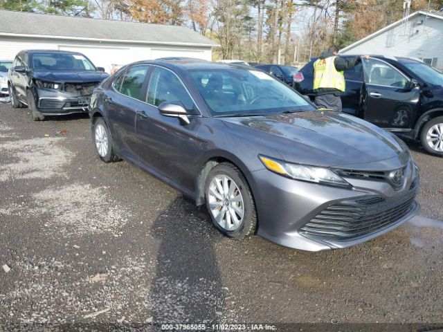 TOYOTA CAMRY 2019 4t1b11hkxku237815