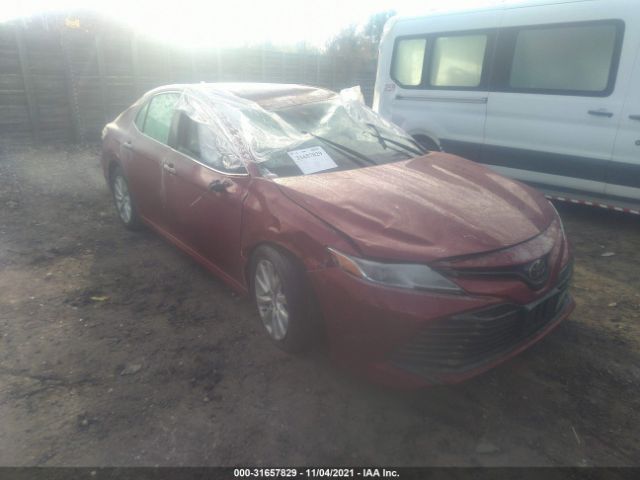 TOYOTA CAMRY 2019 4t1b11hkxku241413