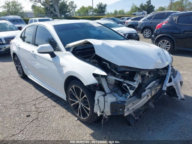 TOYOTA CAMRY 2019 4t1b11hkxku252587