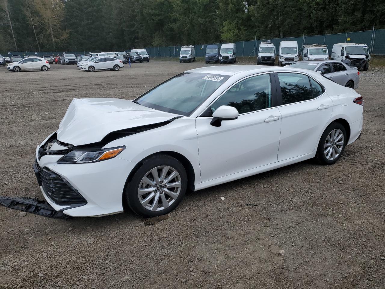 TOYOTA CAMRY 2019 4t1b11hkxku256803