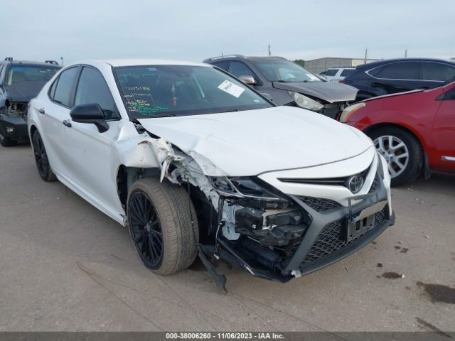 TOYOTA CAMRY 2019 4t1b11hkxku296525