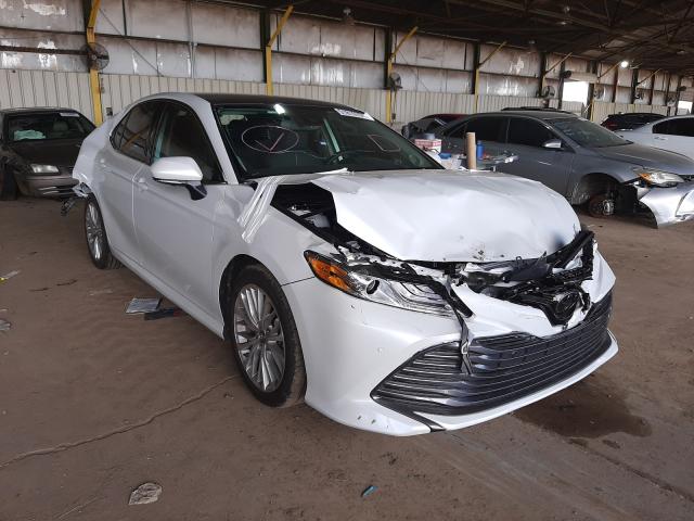 TOYOTA CAMRY L/LE 2019 4t1b11hkxku716106