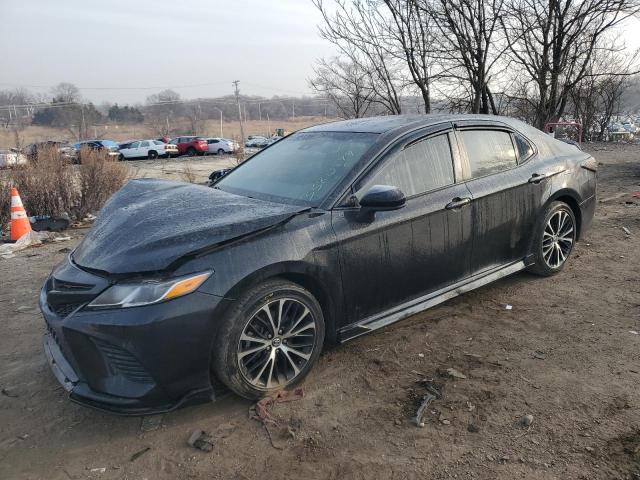 TOYOTA CAMRY L 2019 4t1b11hkxku716672