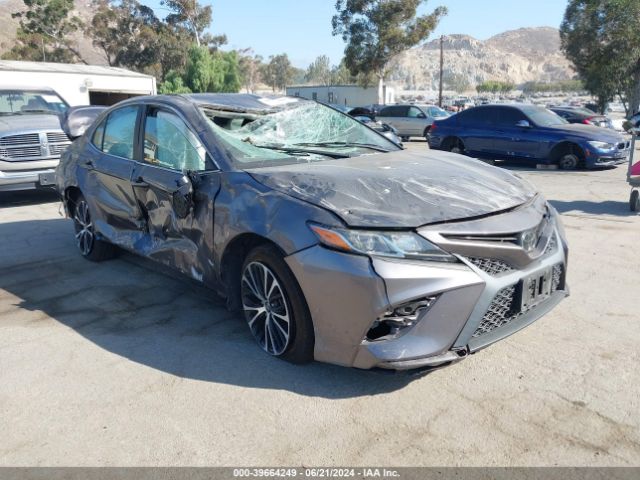 TOYOTA CAMRY 2019 4t1b11hkxku718048