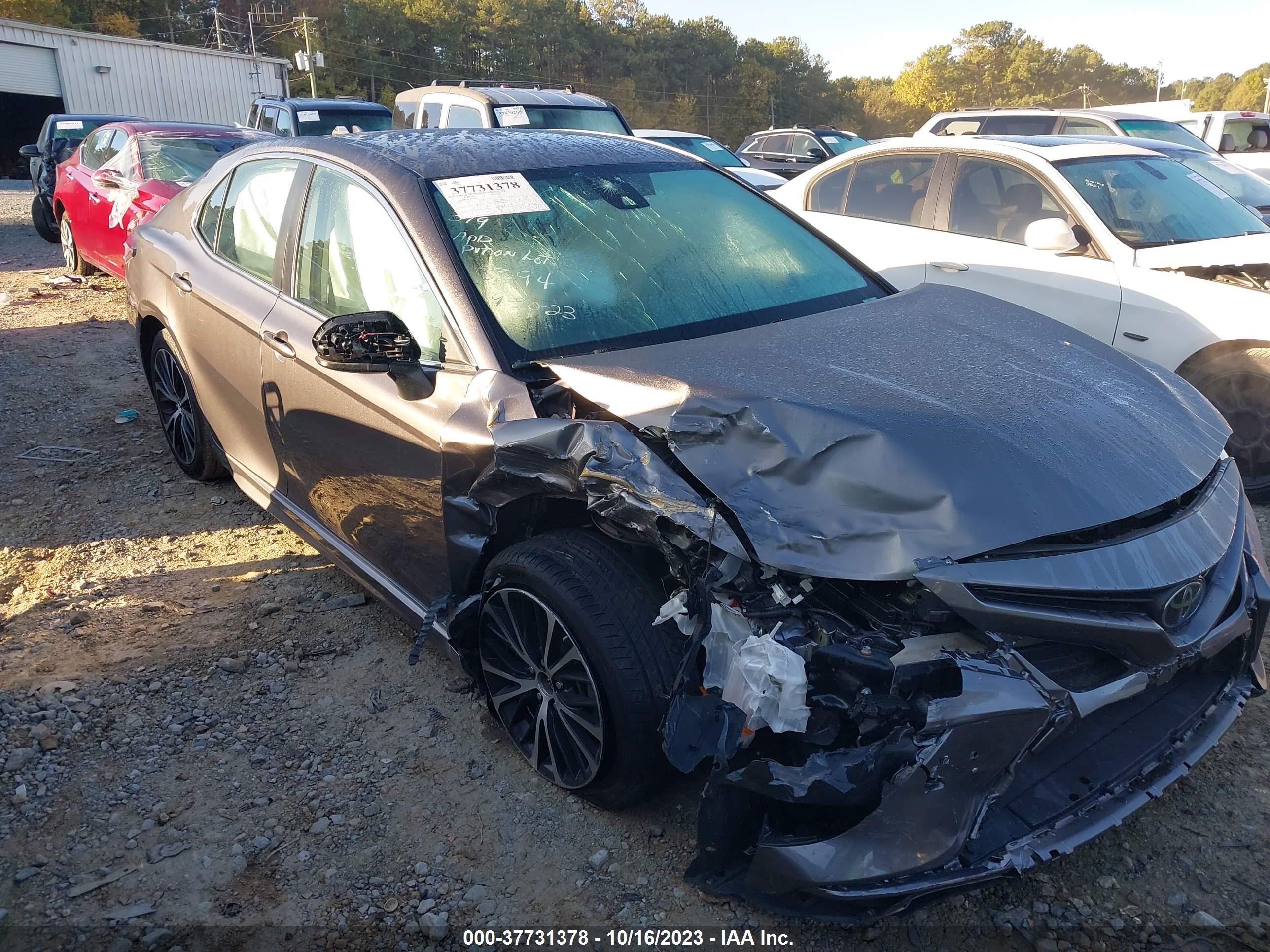 TOYOTA CAMRY 2019 4t1b11hkxku723394