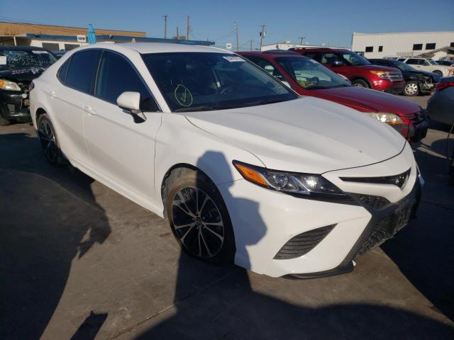 TOYOTA CAMRY 2019 4t1b11hkxku732662