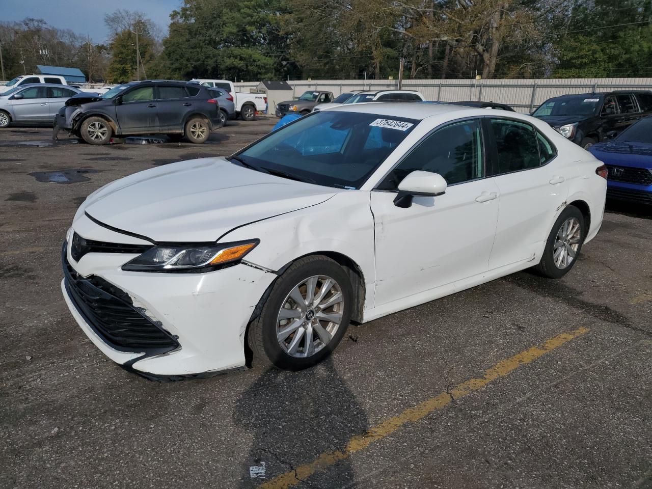 TOYOTA CAMRY 2019 4t1b11hkxku743192