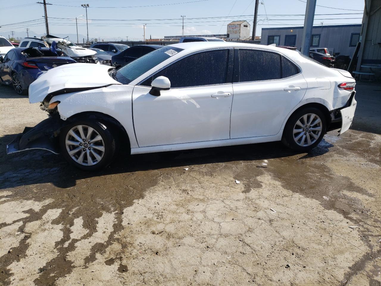 TOYOTA CAMRY 2019 4t1b11hkxku744245