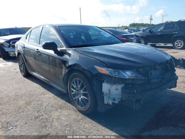 TOYOTA CAMRY 2019 4t1b11hkxku745542