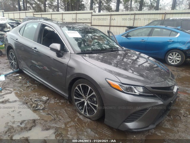 TOYOTA CAMRY 2019 4t1b11hkxku768254