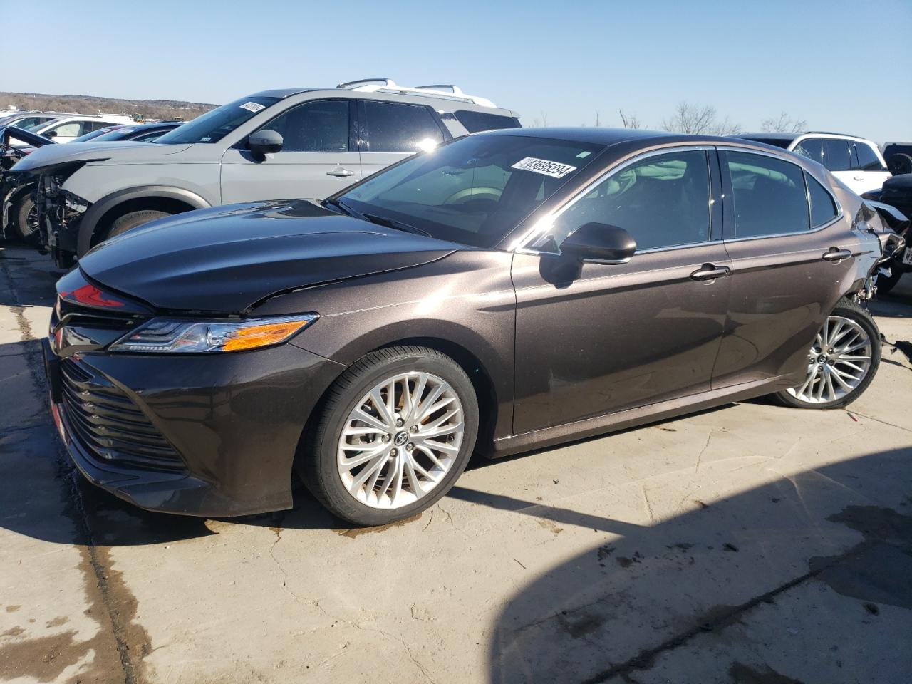 TOYOTA CAMRY 2019 4t1b11hkxku769419