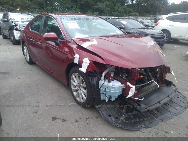 TOYOTA CAMRY 2019 4t1b11hkxku780730