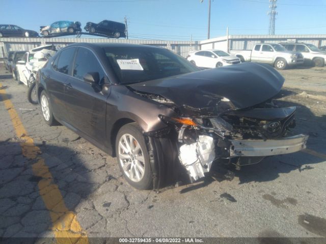 TOYOTA CAMRY 2019 4t1b11hkxku811667