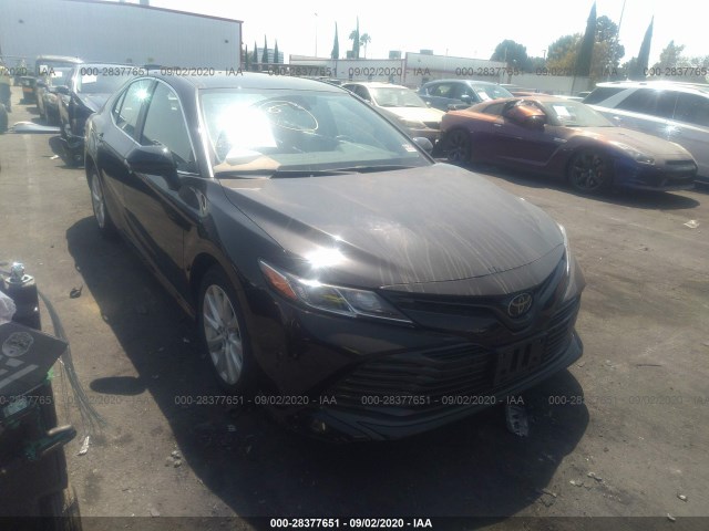 TOYOTA CAMRY 2019 4t1b11hkxku819560