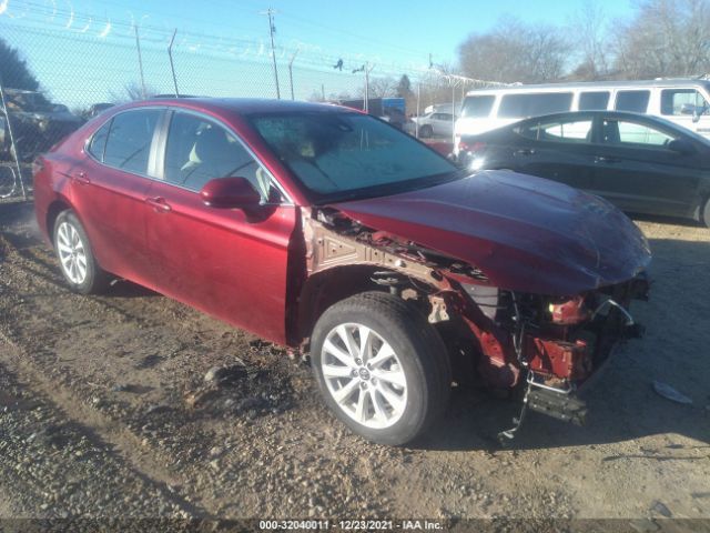 TOYOTA CAMRY 2019 4t1b11hkxku820031