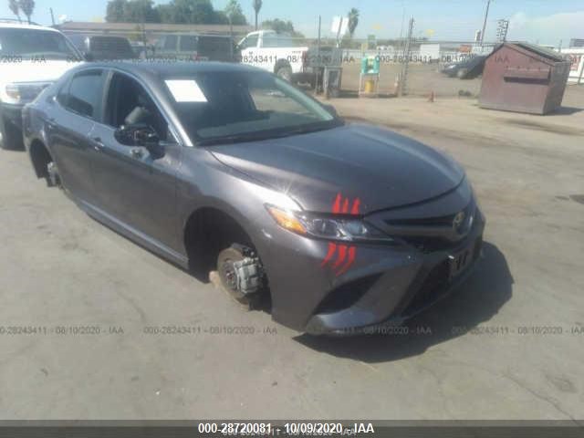 TOYOTA CAMRY 2019 4t1b11hkxku838822