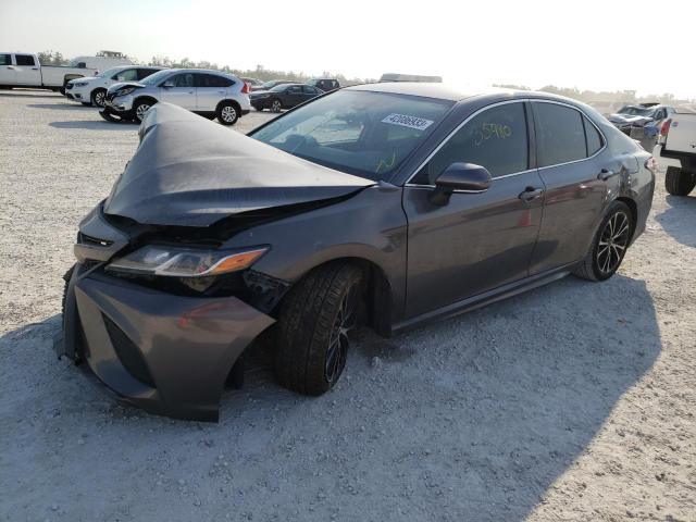 TOYOTA CAMRY L 2019 4t1b11hkxku851098