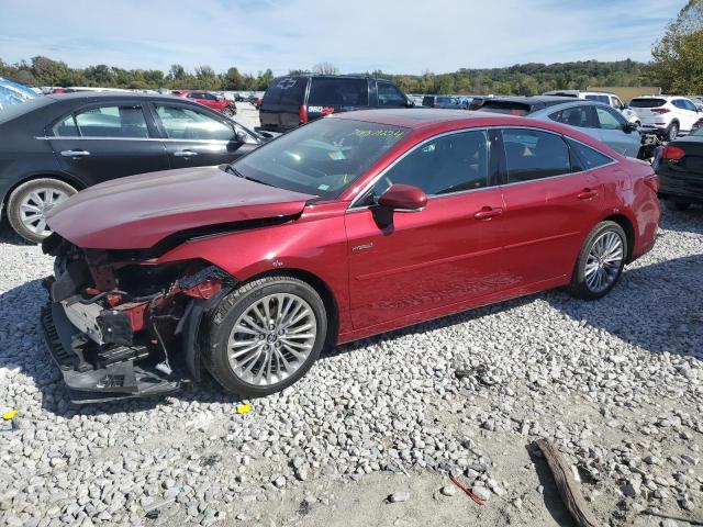 TOYOTA AVALON XLE 2019 4t1b21fb1ku003157