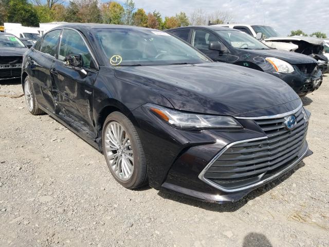 TOYOTA AVALON XLE 2019 4t1b21fb3ku010711