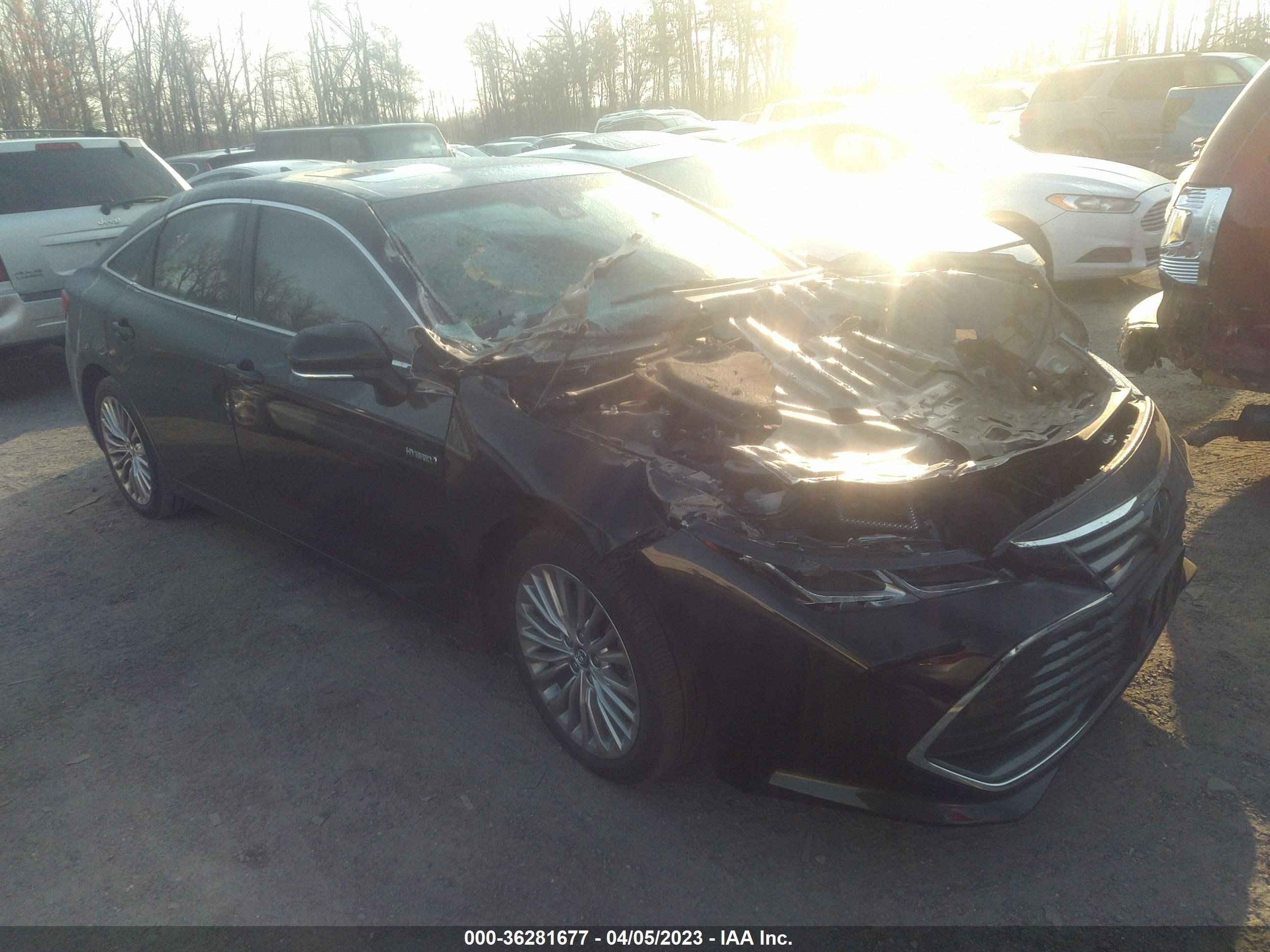 TOYOTA AVALON 2019 4t1b21fb4ku002052