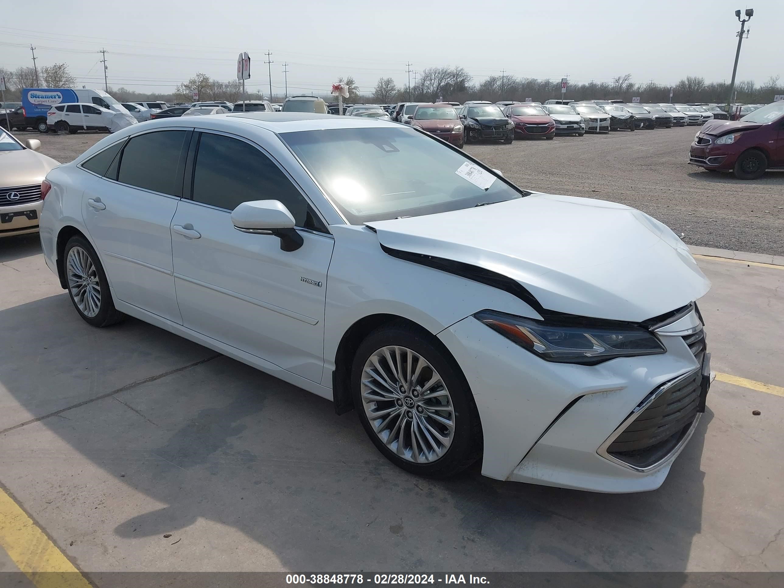 TOYOTA AVALON 2019 4t1b21fb6ku006619