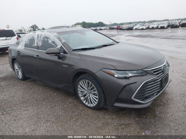 TOYOTA AVALON 2019 4t1b21fb8ku002894