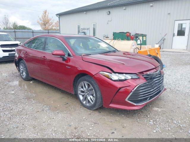 TOYOTA AVALON 2019 4t1b21fb8ku008940