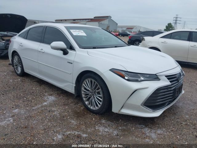 TOYOTA AVALON 2019 4t1b21fbxku010219