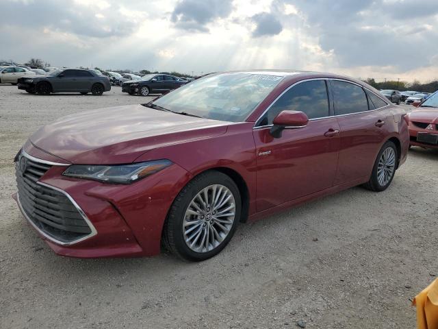 TOYOTA AVALON XLE 2019 4t1b21fbxku010446