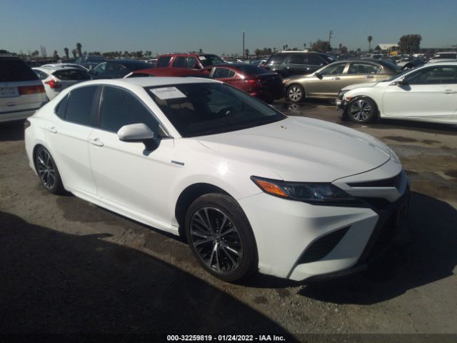 TOYOTA CAMRY 2019 4t1b21hk0ku010632