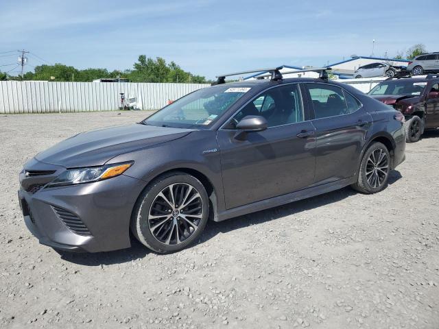 TOYOTA CAMRY 2019 4t1b21hk0ku013918