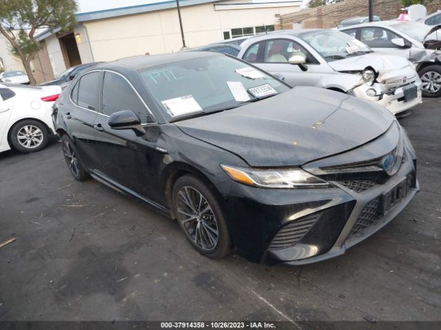 TOYOTA CAMRY 2019 4t1b21hk0ku512024