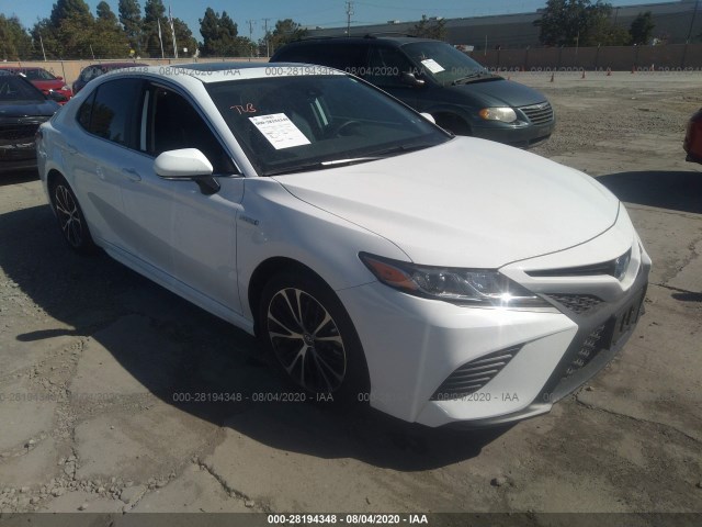 TOYOTA CAMRY 2019 4t1b21hk0ku513867