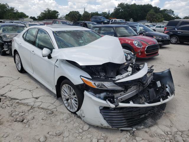 TOYOTA CAMRY HYBR 2019 4t1b21hk0ku514081