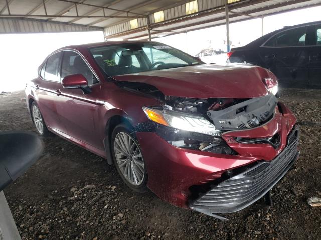 TOYOTA CAMRY HYBR 2019 4t1b21hk0ku515408