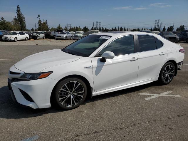 TOYOTA CAMRY HYBR 2019 4t1b21hk1ku011224