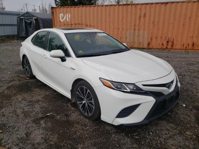 TOYOTA CAMRY HYBR 2019 4t1b21hk1ku513084