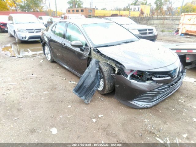 TOYOTA CAMRY 2019 4t1b21hk1ku520262