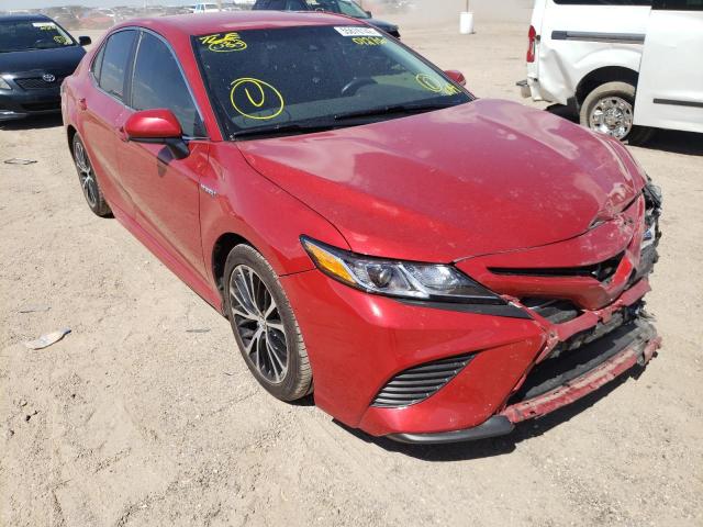 TOYOTA CAMRY HYBR 2019 4t1b21hk2ku012706