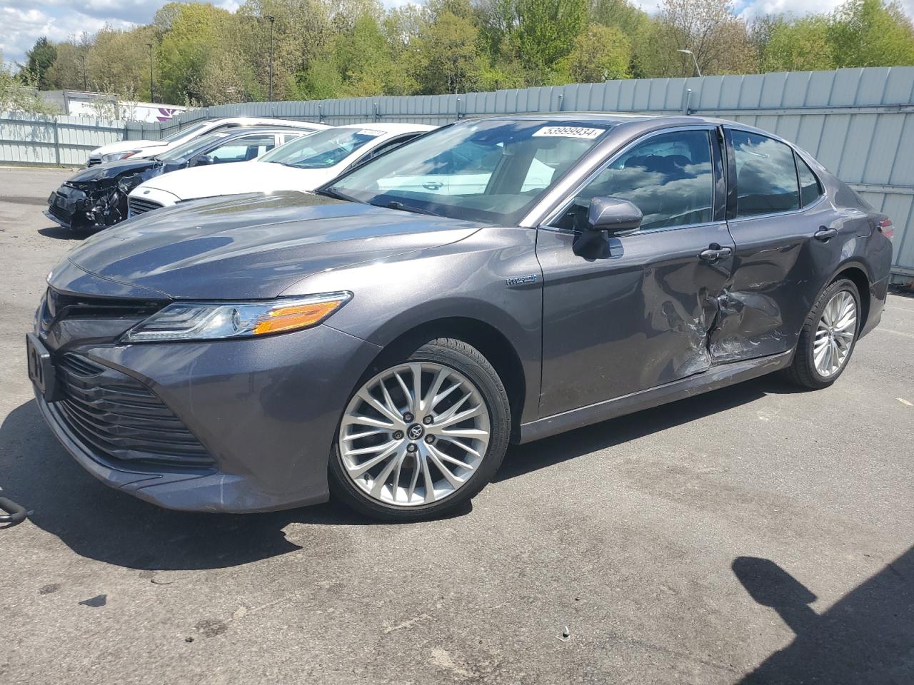 TOYOTA CAMRY 2019 4t1b21hk2ku517399